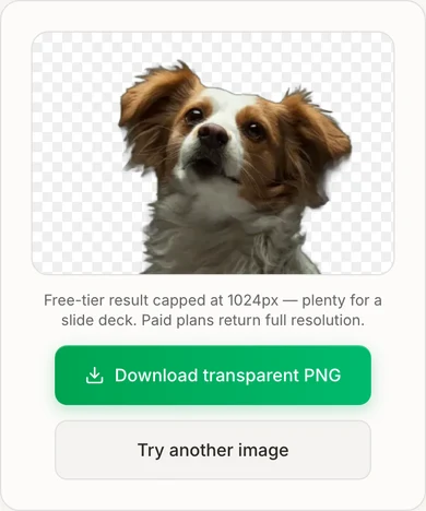 iPhone 上抠好的透明底结果，棋盘格背景与「下载透明底 PNG」按钮